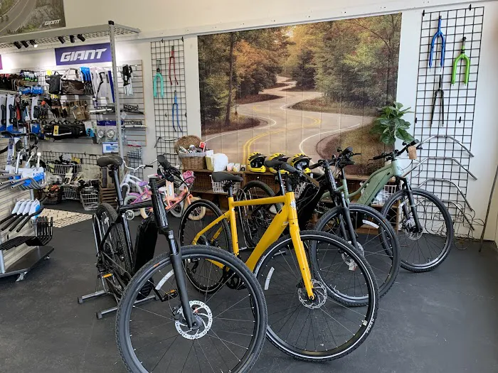 Anchor Bay Bike Shop Picture 3