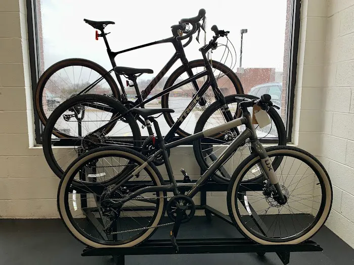 Anchor Bay Bike Shop Picture 7