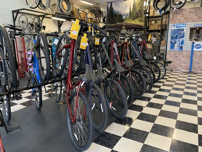 Anchor Bay Bike Shop Picture 8