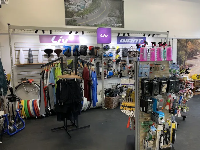 Anchor Bay Bike Shop Picture 9