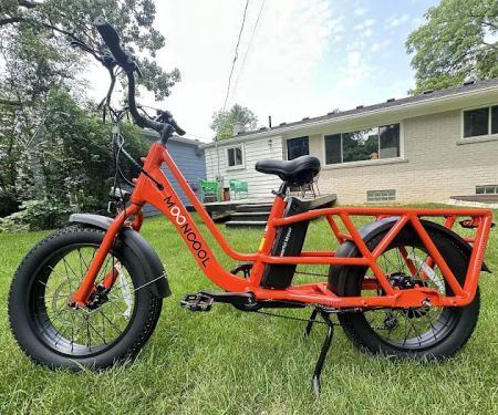 Budget E-Bikes