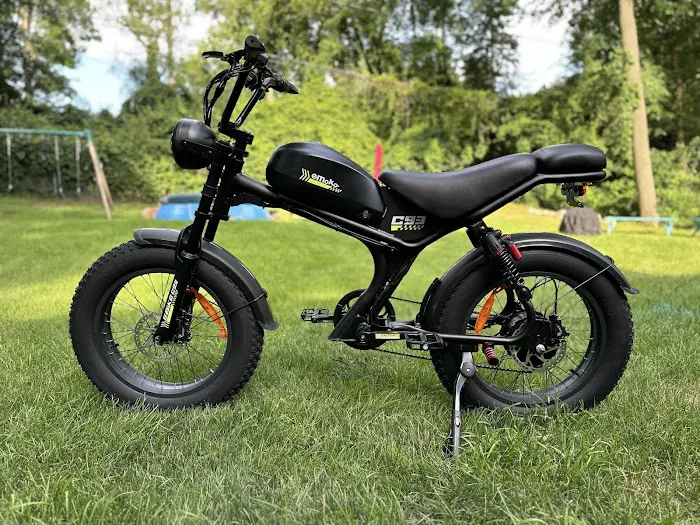 Budget E-Bikes Picture 3