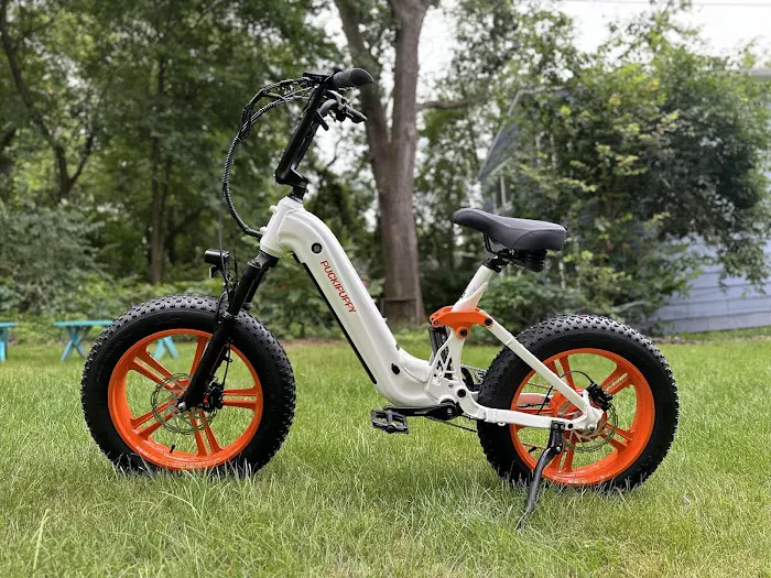 Budget E-Bikes Picture 6