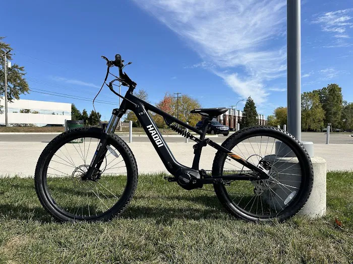 Budget E-Bikes Picture 7