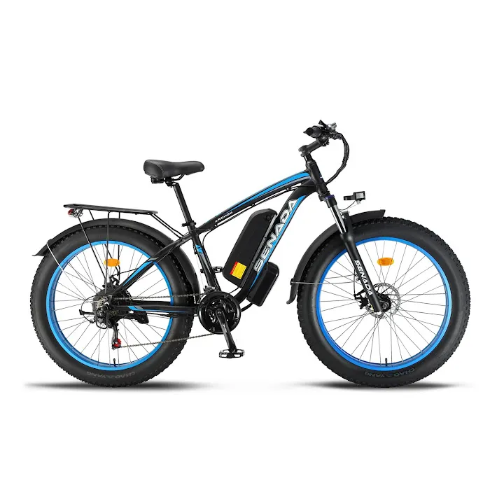 e-bike performance shop LLC Picture 3