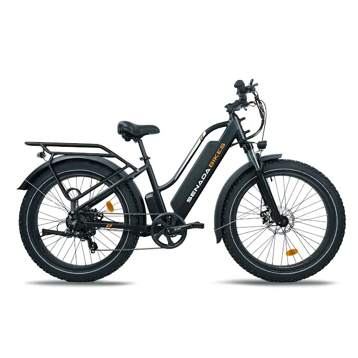 e-bike performance shop LLC Picture 2