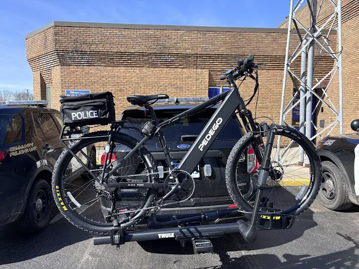 Pedego Electric Bikes Walled Lake Picture 1