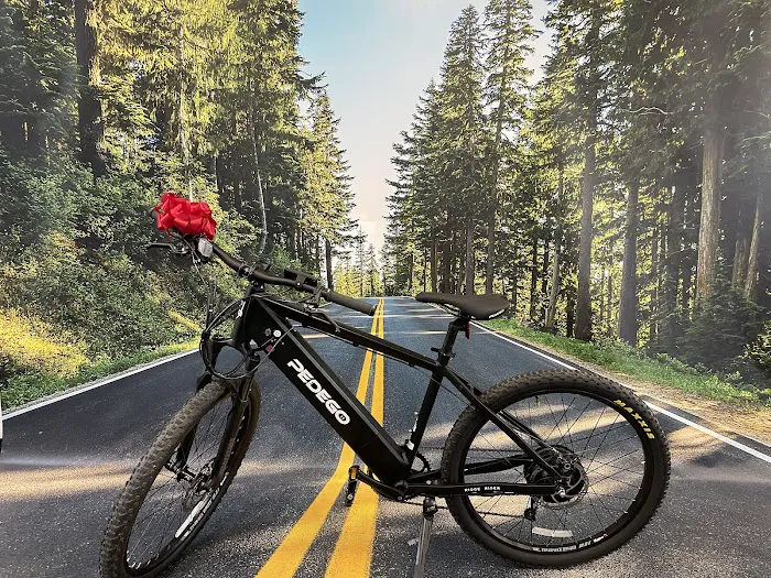 Pedego Electric Bikes Walled Lake Picture 6