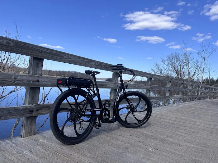 Pedego Electric Bikes Walled Lake Picture 8