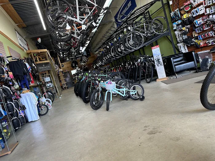 Tree Fort Bikes Picture 4