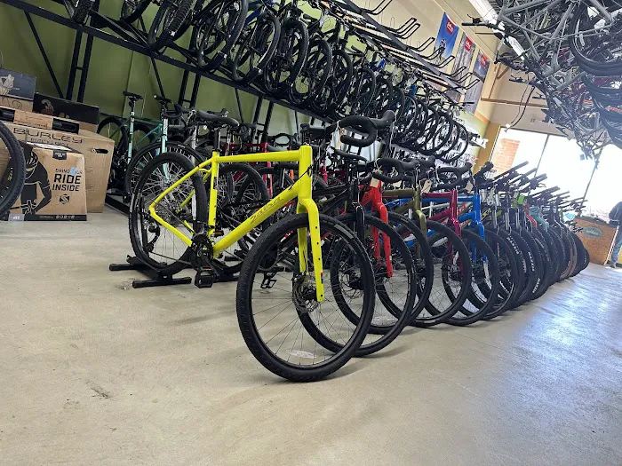 Tree Fort Bikes Picture 3