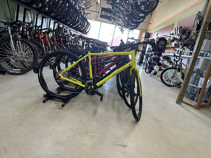 Tree Fort Bikes Picture 6