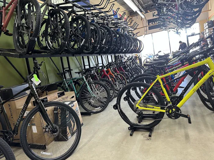 Tree Fort Bikes Picture 7
