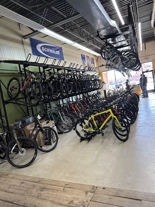 Tree Fort Bikes Picture 8