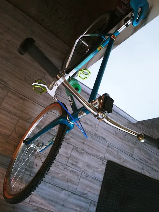 Motor City Bicycle - Ann Arbor Picture 7