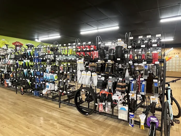 Hometown Bicycles L.L.C. Picture 2