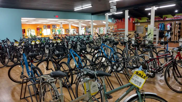 Hometown Bicycles L.L.C. Picture 8