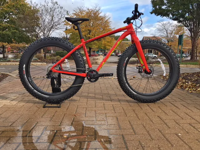 Motor City Bicycle - Brighton Picture 6