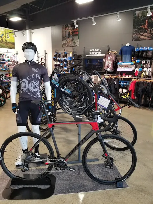 D&D Bicycles - Brighton Picture 3