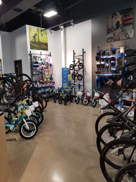 D&D Bicycles - Brighton Picture 4