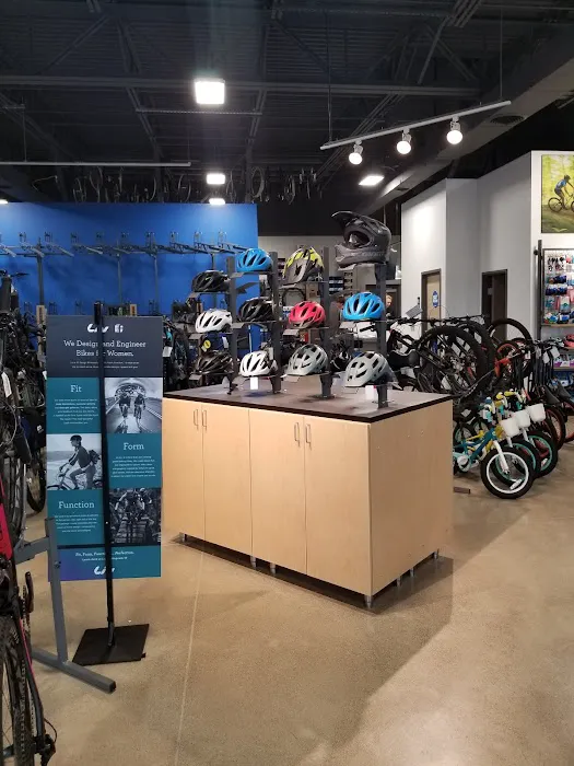 D&D Bicycles - Brighton Picture 8