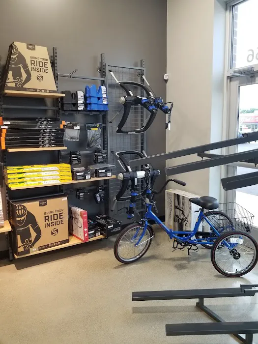 D&D Bicycles - Brighton Picture 9