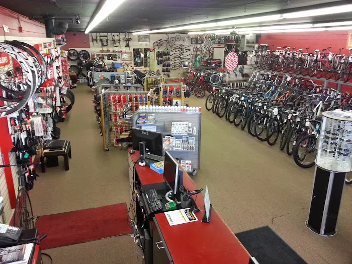 Cycletherapy Bicycles Picture 1
