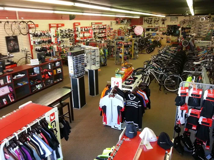 Cycletherapy Bicycles Picture 4