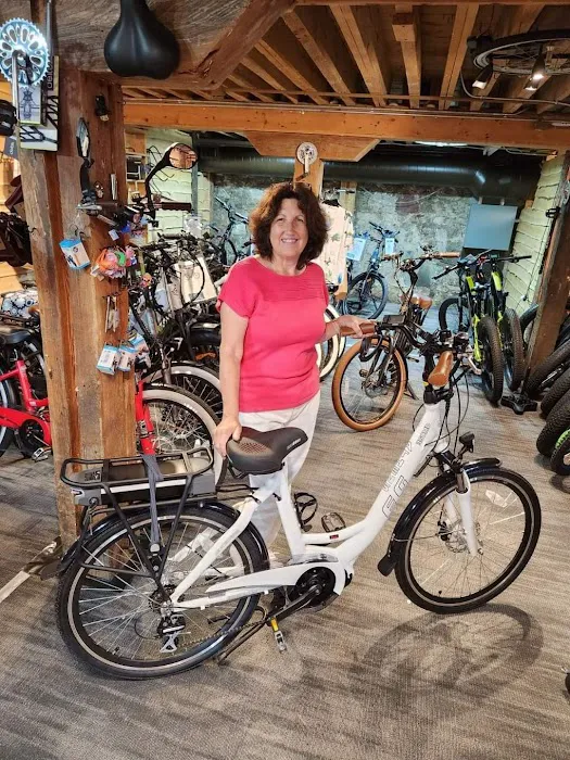 EZE-Bikes Electric Bicycles Picture 1