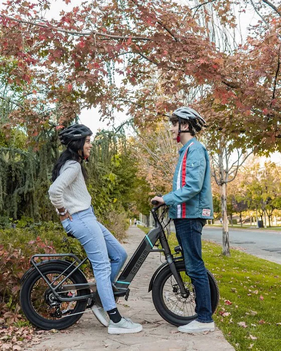 EZE-Bikes Electric Bicycles Picture 6