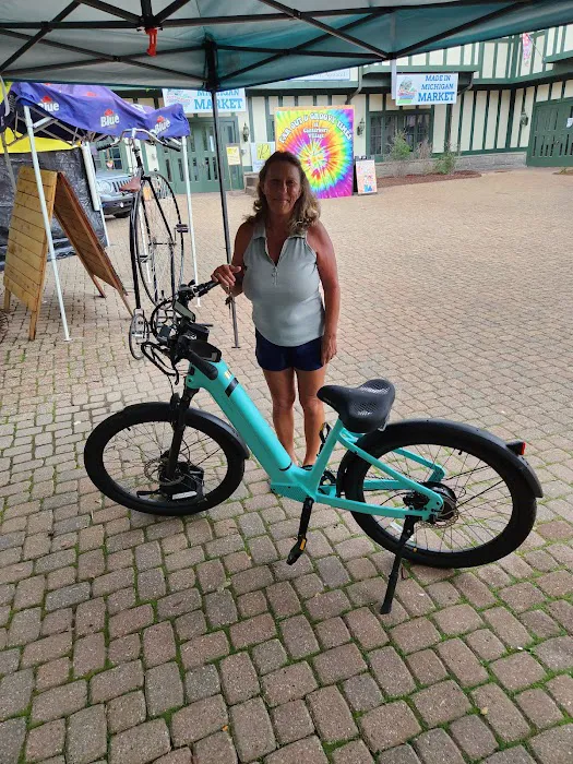 EZE-Bikes Electric Bicycles Picture 10