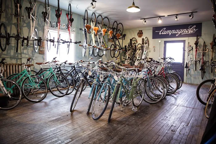 Sic Transit Cycles Picture 3