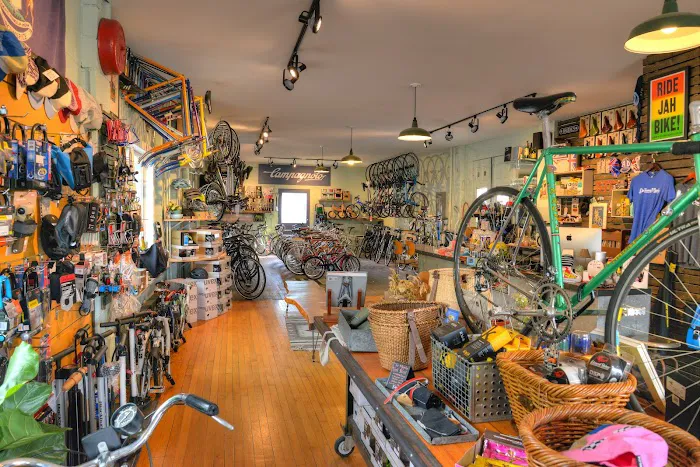 Sic Transit Cycles Picture 2