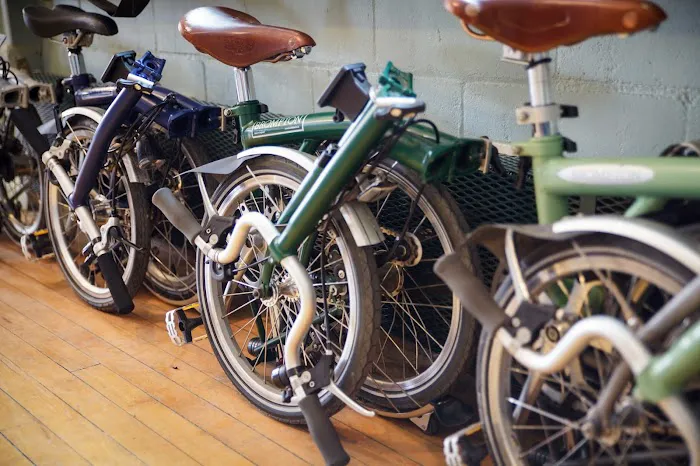 Sic Transit Cycles Picture 4