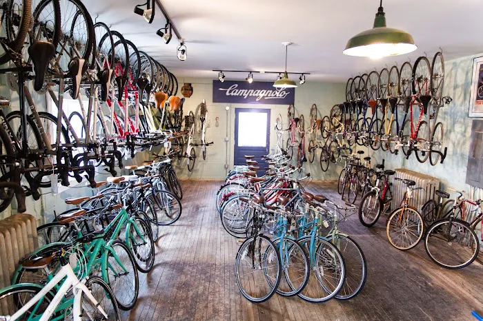 Sic Transit Cycles Picture 6