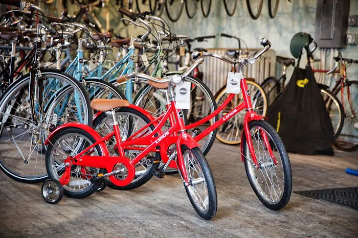 Sic Transit Cycles Picture 8