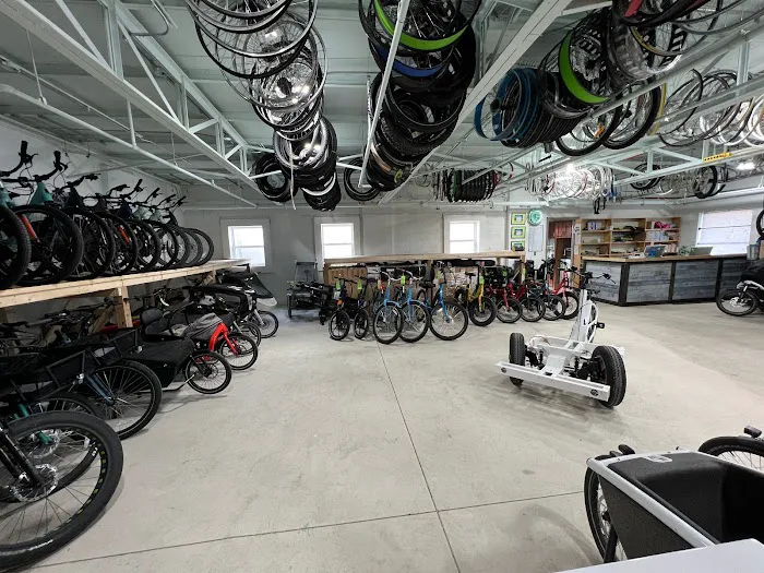 Urban Rider Cargo Bikes Picture 3