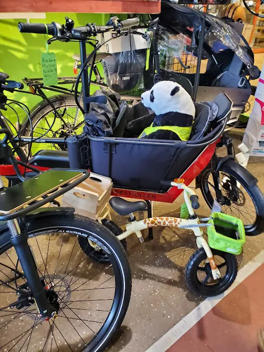 Urban Rider Cargo Bikes Picture 2