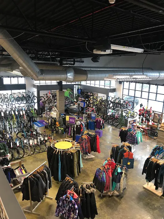 D&D Bicycles - Ann Arbor Picture 6