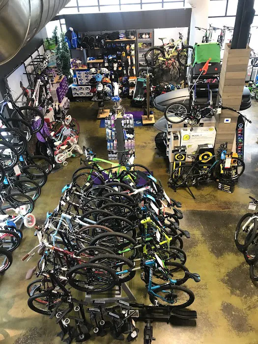 D&D Bicycles - Ann Arbor Picture 4