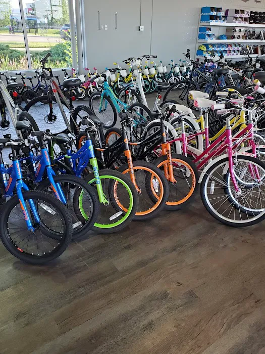 D&D Bicycles - Ann Arbor Picture 8