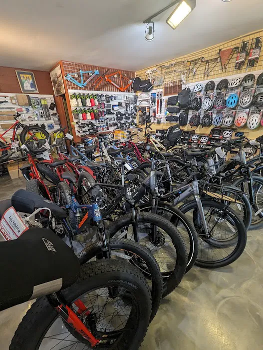Cyclefit Sports, Fenton Picture 5