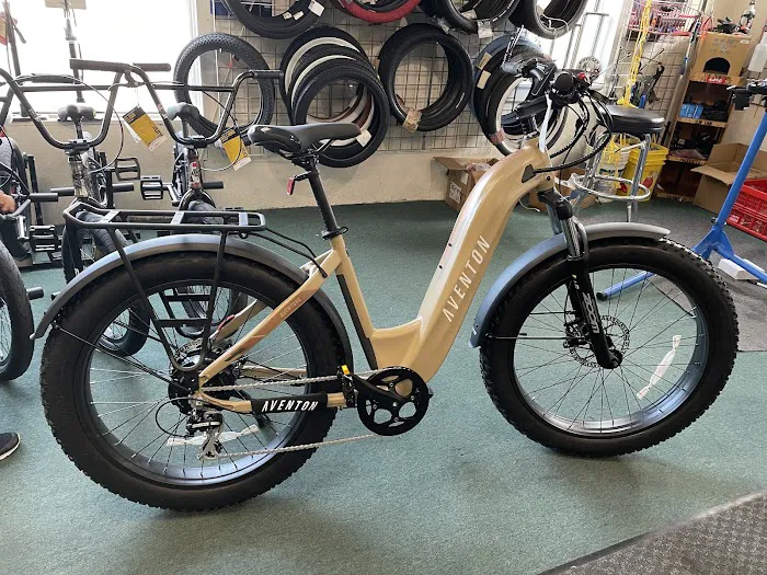 Alpine Cycles Picture 5