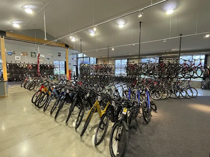 Trek Bicycle Grand Blanc Picture 5