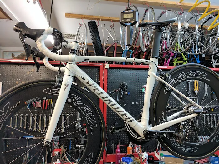 Trek Bicycle Grand Blanc Picture 4