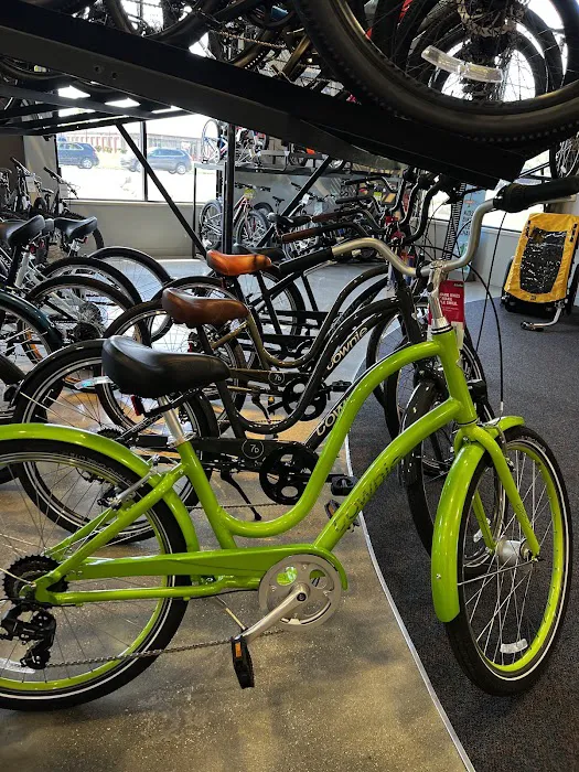 Trek Bicycle Grand Blanc Picture 9