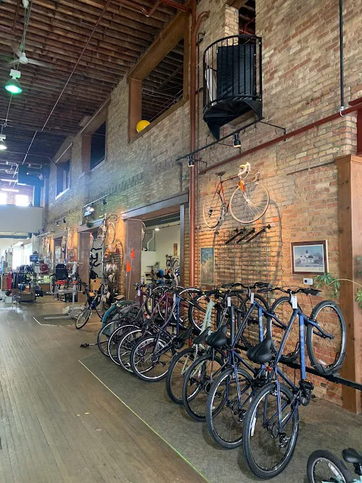D&D Bicycles - Jackson Picture 2