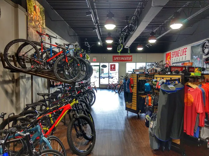 Spoke Life Cycles Perrysburg Picture 1