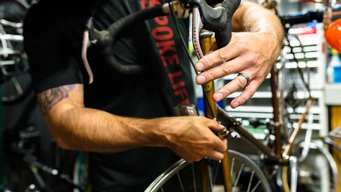 Spoke Life Cycles Perrysburg Picture 3