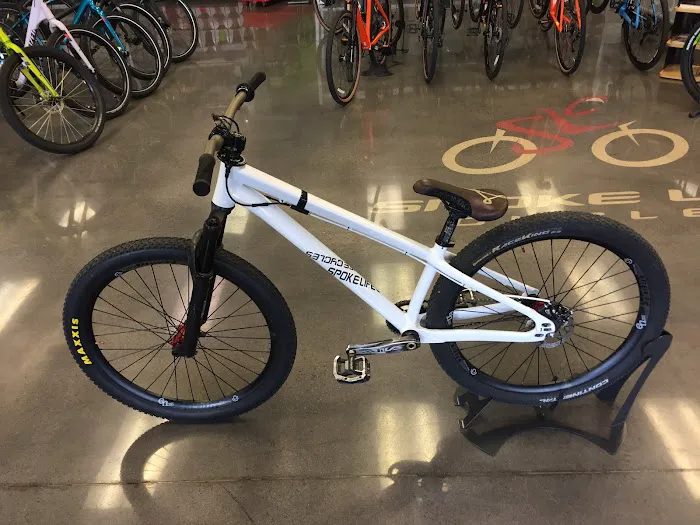 Spoke Life Cycles Perrysburg Picture 8